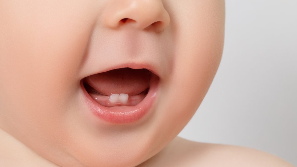 Teeth Development in baby